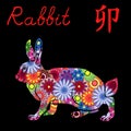 Chinese Zodiac Sign Rabbit with colorful flowers Royalty Free Stock Photo