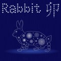 Chinese Zodiac Sign Rabbit in blue winter motif Royalty Free Stock Photo