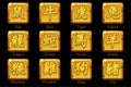 Chinese Zodiac signs hieroglyphs on square gold bars. Golden icons on a separate layer Royalty Free Stock Photo