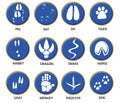 Chinese zodiac signs icons set on blue round background.  Paw prints marks , footprints of rat, mouse, snake, dragon, pig, rooster Royalty Free Stock Photo