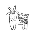 Chinese zodiac signs symbol of the year goat