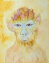 Chinese zodiac, year of the monkey.