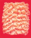 Chiness noodles