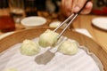 Stream Pork Dumpling Royalty Free Stock Photo