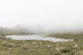 Chingaza, Colombia. Buitrago lagoons, moor, hills, mist and frailejon, espeletia