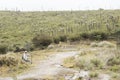 Chingaza Colombia. Hiker resting, Andean moor landscape, frailejones, espeletia