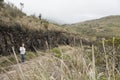 Chingaza, Colombia. Paramo, a woman on a trail in a mountainous moor landscape