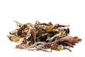 Chinnese white tea Royalty Free Stock Photo
