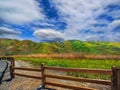 Chino Hills, Ca. State Park spring wildflower fields landscape Royalty Free Stock Photo