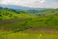 Chino Hills view in spring time