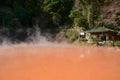 Chinoike Jigoku or Blood Pond Hell in Beppu