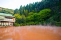 The Chinoike Jigoku Blood pond hell