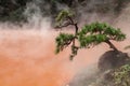 Chinoike-Jigoku Blood Pool Hell is one of eight Beppu hot spring tour