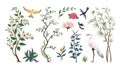 Chinoiserie birds and plants. Traditional Japanese art with leaves and heron. Botanical elements. Bamboo and flowers