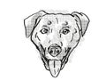 Chinook Dog Breed Cartoon Retro Drawing