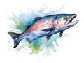 Chinook salmon fish. watercolor painting