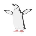 Chinstrap Penguin as Aquatic Flightless Bird with Flippers for Swimming in Standing Pose Vector Illustration