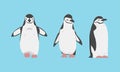 Chinstrap Penguin as Aquatic Flightless Bird with Flippers for Swimming Vector Set
