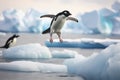 Chinstrap penguin on ice floe, Antarctic Peninsula, Antarctica, Adelie penguin jumping between two ice floes, AI Generated