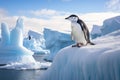 Chinstrap penguin on ice floe, Antarctic Peninsula, Antarctica, chinstrap penguins, Pygoscelis antarctica, on an iceberg off the