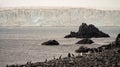 Chinstrap Penguins ad huge iceberg on Half Moon island in Antarctica.