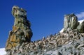 Chinstrap penguins (Pygoscelis antarctica) on Half Moon Island, Bransfield Strait, Antarctica Royalty Free Stock Photo