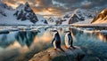 Chinstrap Penguins - South Shetland Islands - Antarctica