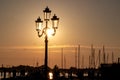 Chioggia - Beautiful sailing boats gracefully adorn the picturesque port of the charming town of Chioggia at sunrise Royalty Free Stock Photo