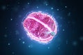 A chip implanted in the brain, neurotechnology, a microprocessor connected electrically to human neurons. Neural networks,