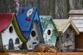 Chipmunk on Fence by Birdhouse
