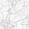Chipmunk in the forest among the mushrooms.Coloring book antistress for children and adults.