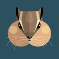 Chipmunk head Royalty Free Stock Photo