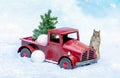 chipmunk and red truck Royalty Free Stock Photo