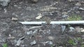 A Chipmunk runs among rocks and construction debris