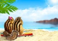 Chipmunks on the beach, honeymoon concept Royalty Free Stock Photo