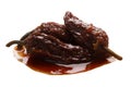 Chipotle en Adobo sauce smoked Jalapeno, paths Royalty Free Stock Photo