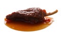 Chipotle en Adobo sauce smoked Jalapeno, paths Royalty Free Stock Photo