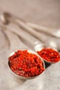 Chipotle jalapeno smoked hot chilles paste Royalty Free Stock Photo