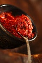 Chipotle jalapeno smoked hot chilles paste Royalty Free Stock Photo