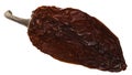 Chipotle smoke-dried jalapeno pepper, paths Royalty Free Stock Photo