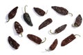 Chipotle smoke-dried jalapeno peppers, paths, top Royalty Free Stock Photo
