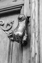 Chipped doorknocker with hand shape on wooden door