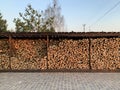 Chipped dry firewood is ready for winter. Background of logs, birch, pine and oak. A wall of chopped firewood, ready for burning