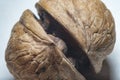 Chipped walnut with a crack between the two halves Royalty Free Stock Photo