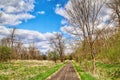 Chippewa River Trail in Spring