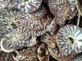 Chips Betel nuts or areca nuts Royalty Free Stock Photo