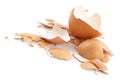 Chips of the crushed egg shell- Royalty Free Stock Photo
