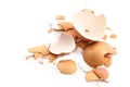 Chips of the crushed egg shell Royalty Free Stock Photo