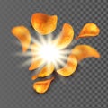 Chips Potato Snack With Salt And Pepper Vector