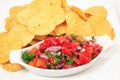 Chips and Salsa Royalty Free Stock Photo